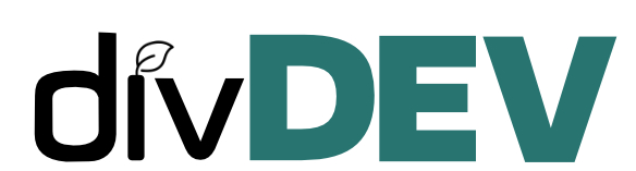 DivDev - A new company for a new world